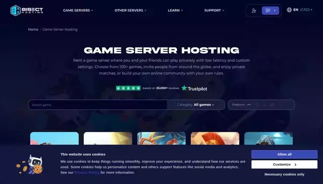 bisecthosting.com homepage screenshot