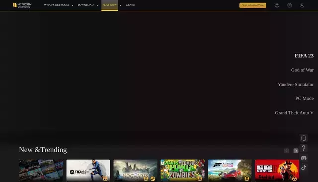 netboom.com homepage screenshot
