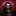 vampire.survivors.wiki icon